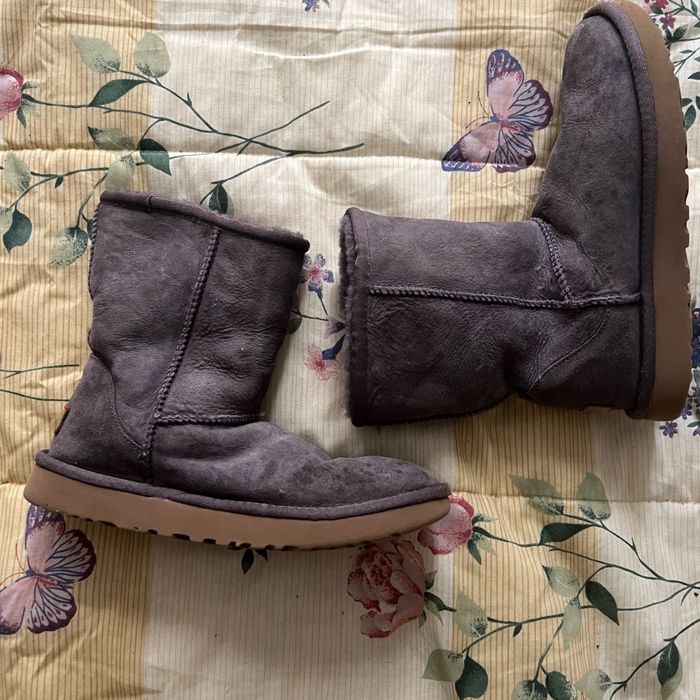 Mushroom Lavender Uggs